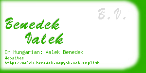 benedek valek business card